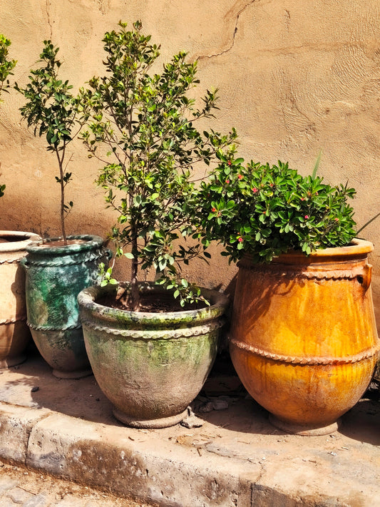 How Tamegroute Pottery Gives Back to Families in Southern Morocco