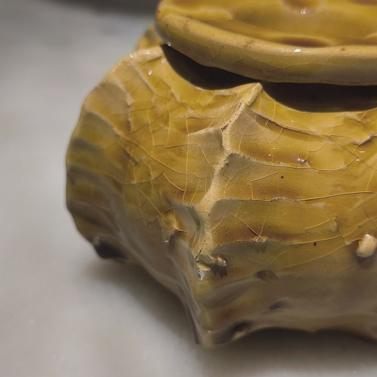 Handmade Moroccan Cactus Ashtray – Ochre Tamegroute Ceramic