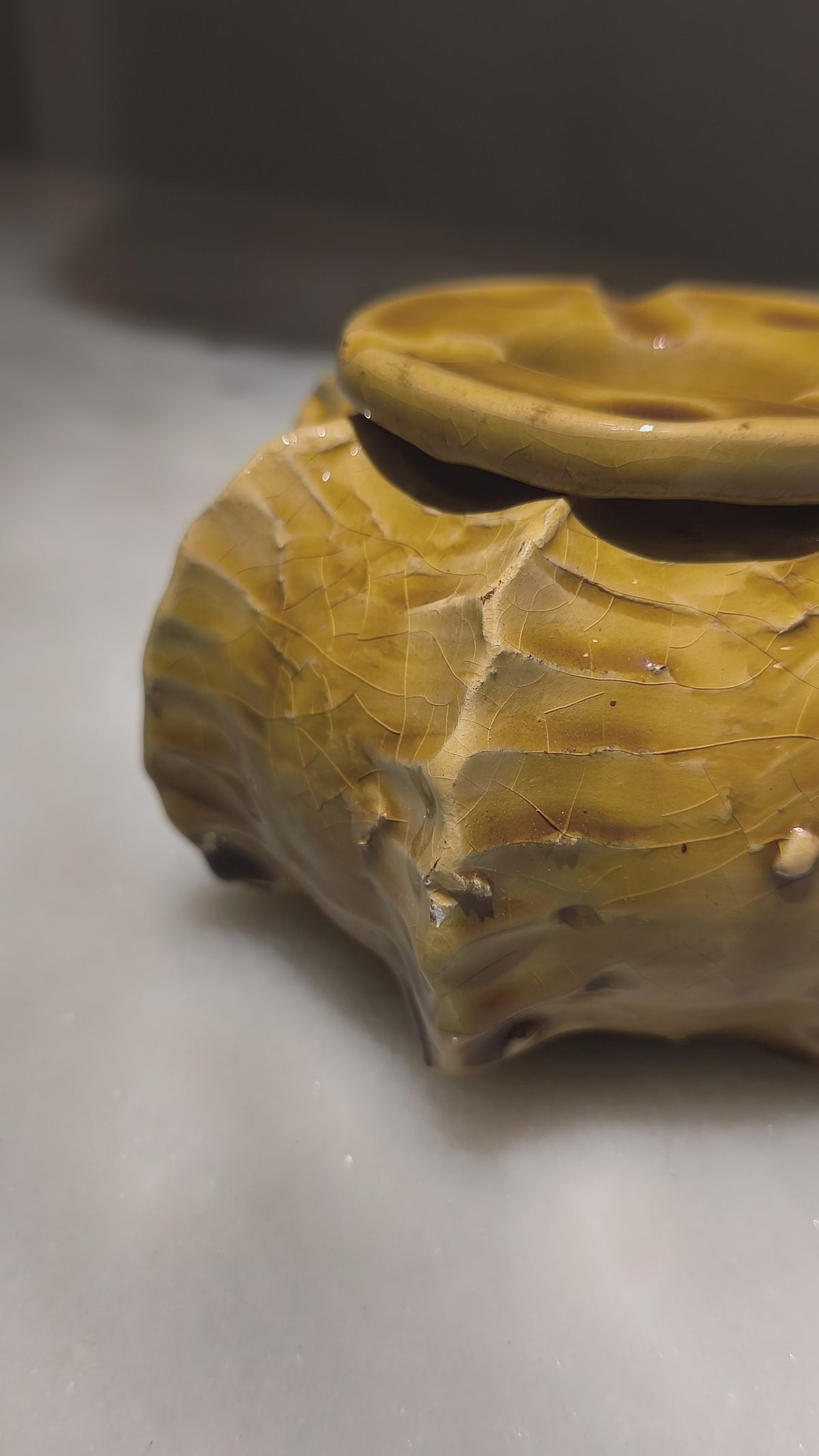 Handmade Moroccan Cactus Ashtray – Ochre Tamegroute Ceramic